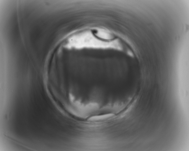 X0000088141525200706041328