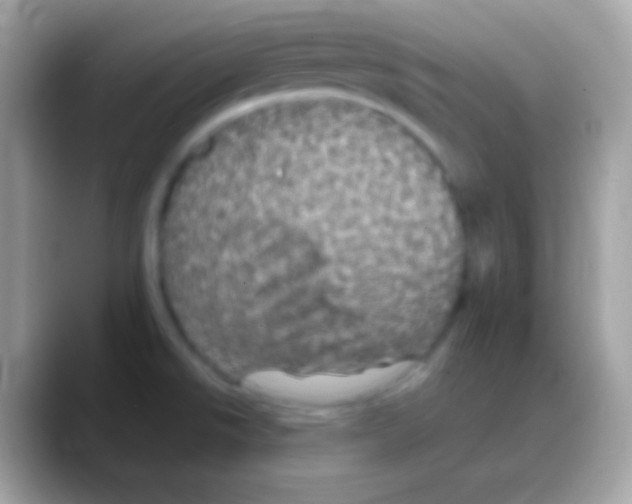 X0000088141526200706041328