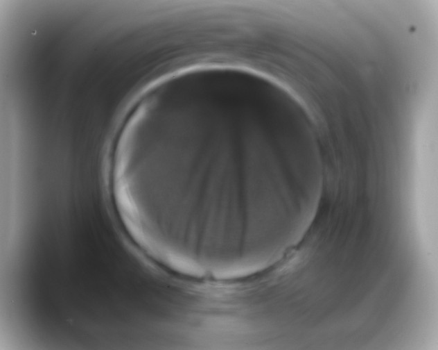 X0000088141527200706041328