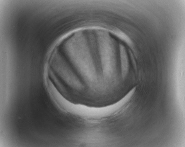 X0000088141528200706041328