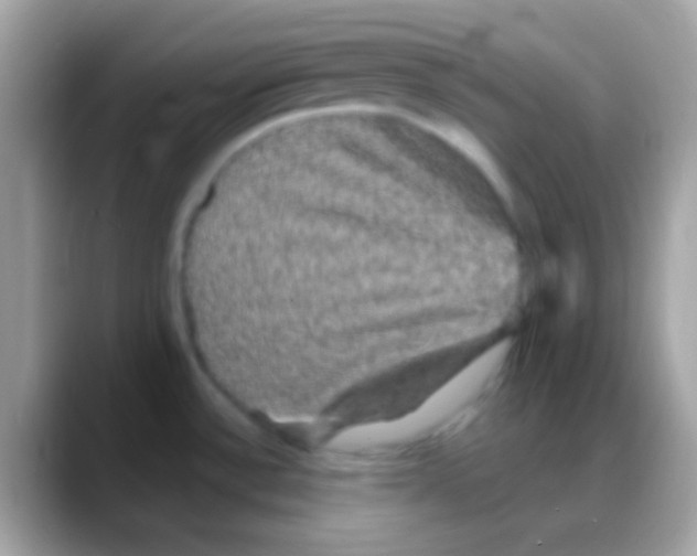 X0000088141532200706041328