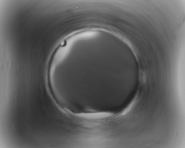 X0000088141533200706041328