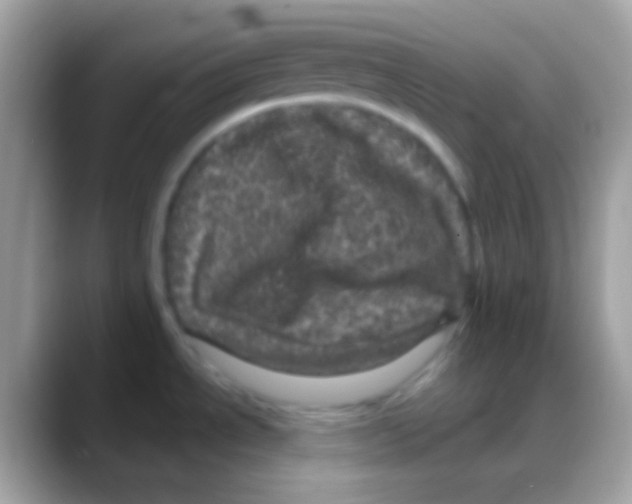 X0000088141534200706041328