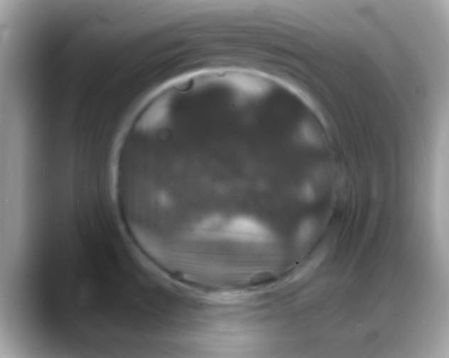 X0000088141535200706041328