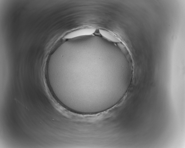 X0000088140001200706042018