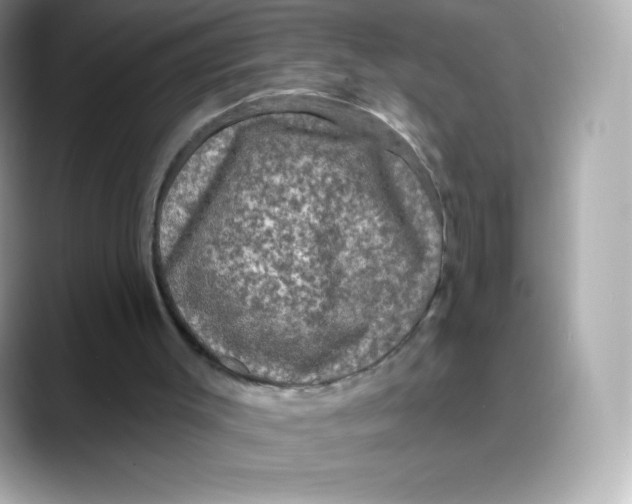 X0000088140003200706042018