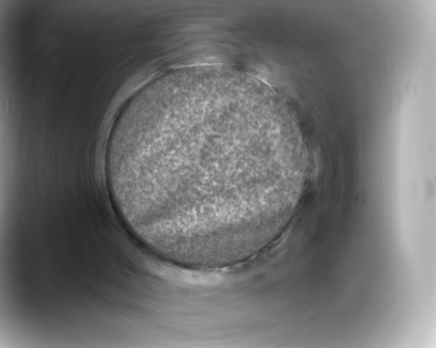 X0000088140004200706042018