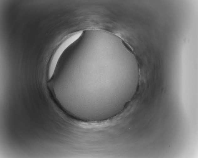 X0000088140005200706042018