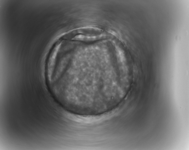 X0000088140006200706042018