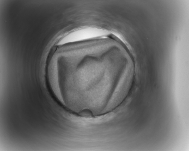 X0000088140007200706042018