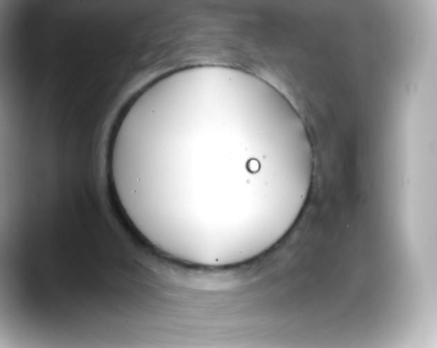 X0000088140008200706042018