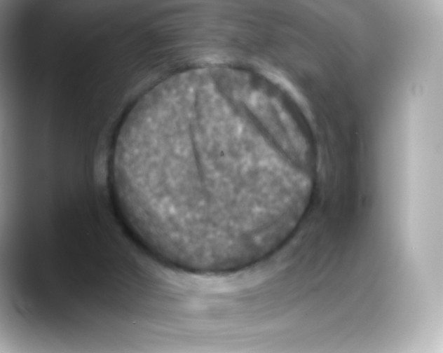 X0000088140010200706042018