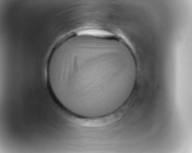 X0000088140011200706042018