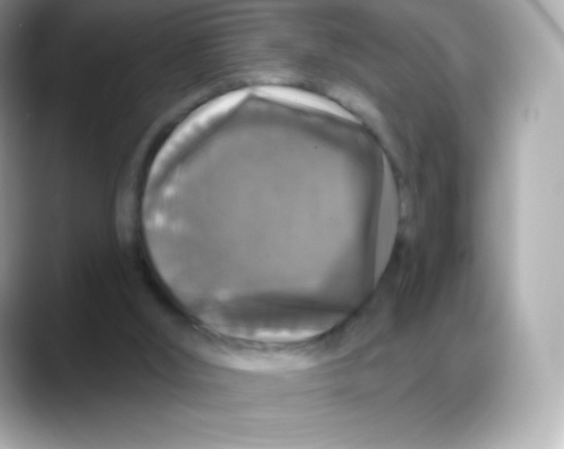 X0000088140012200706042018