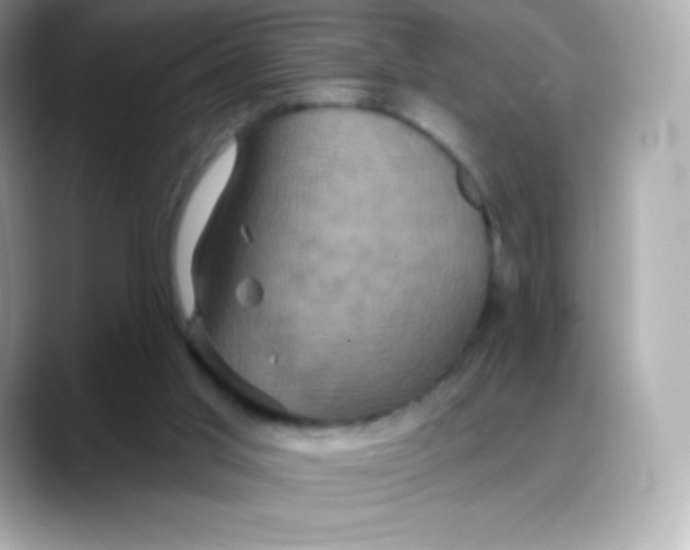 X0000088140013200706042018