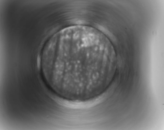 X0000088140014200706042018