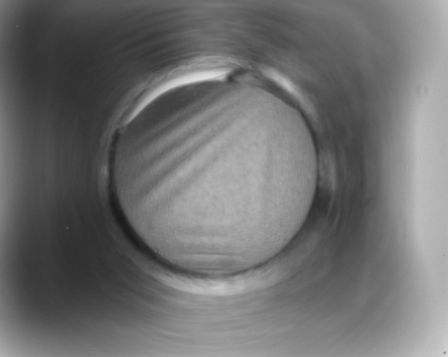 X0000088140015200706042018