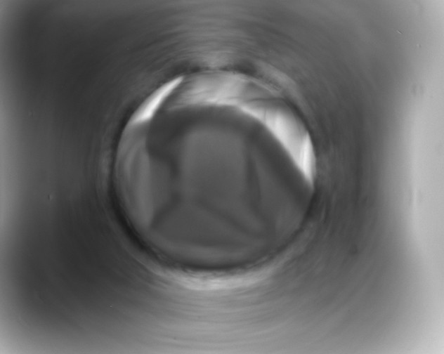 X0000088140018200706042018