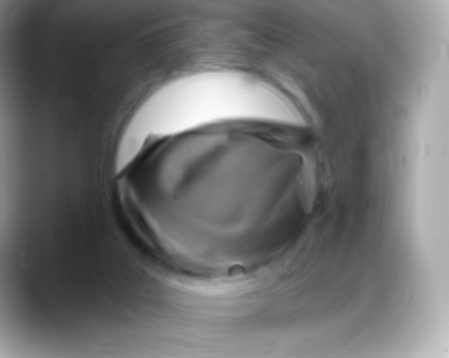 X0000088140019200706042018