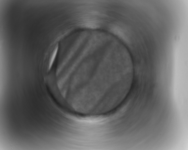 X0000088140020200706042018