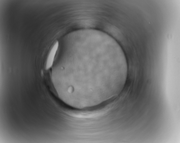 X0000088140021200706042018