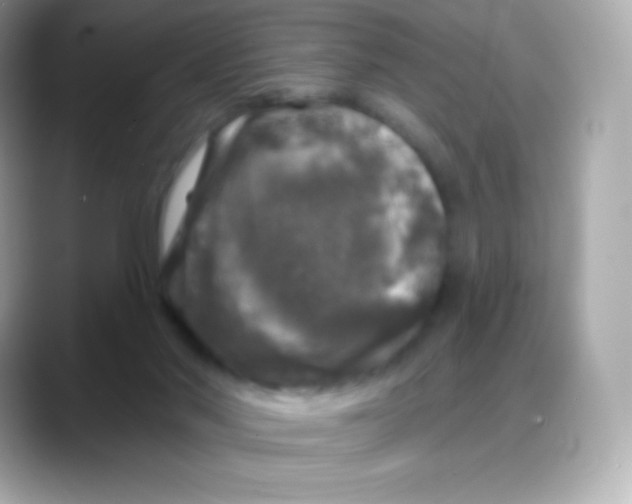 X0000088140022200706042018