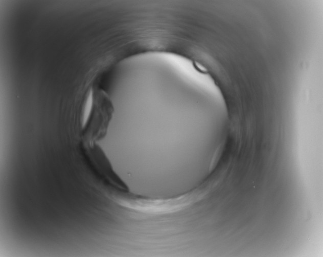 X0000088140023200706042018