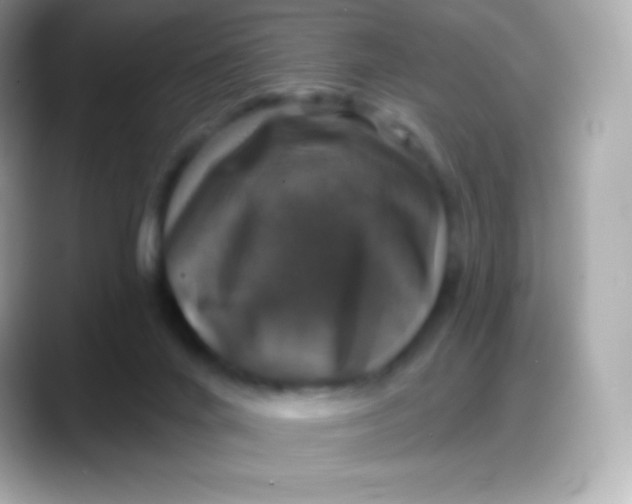 X0000088140024200706042018