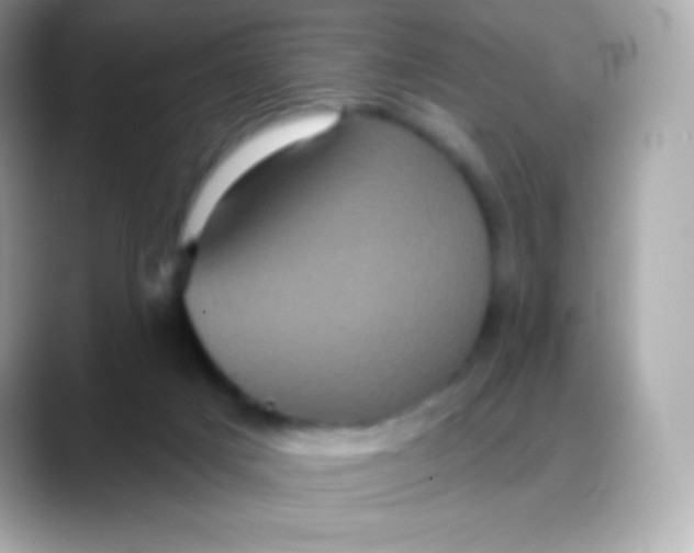 X0000088140025200706042018