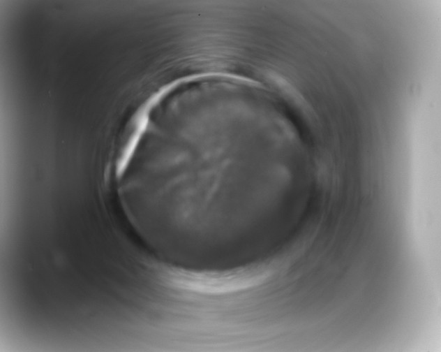 X0000088140026200706042018