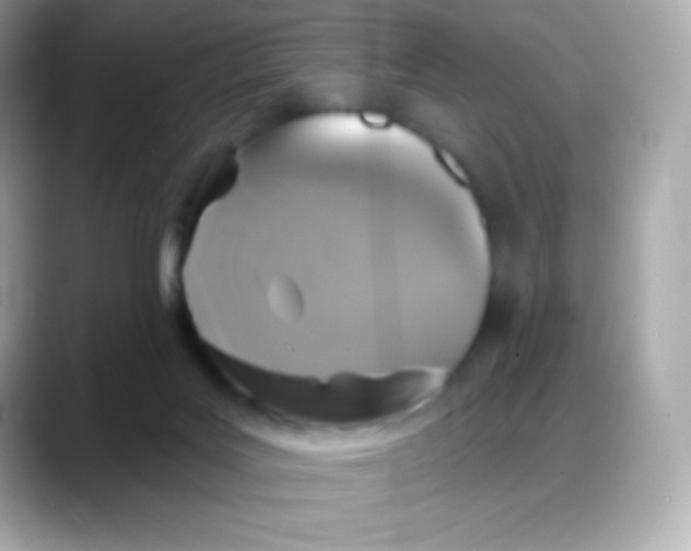 X0000088140027200706042018