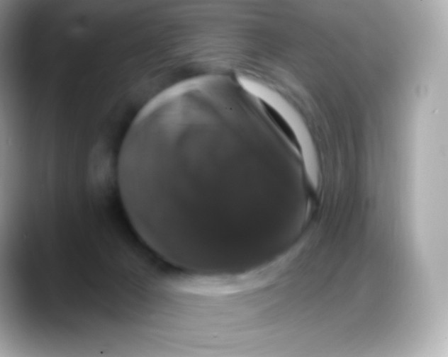 X0000088140029200706042018