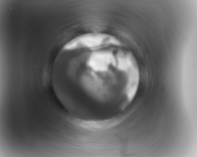 X0000088140030200706042018