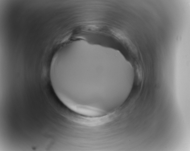 X0000088140031200706042018