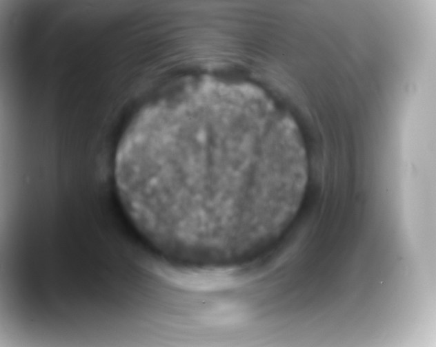 X0000088140032200706042018