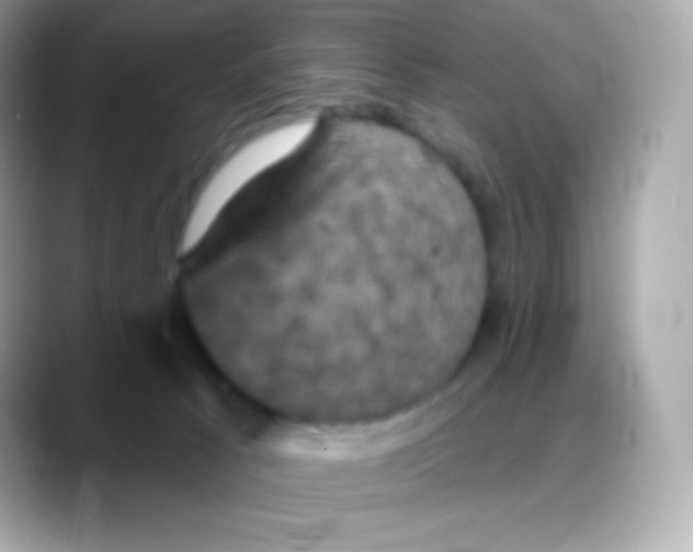 X0000088140033200706042018