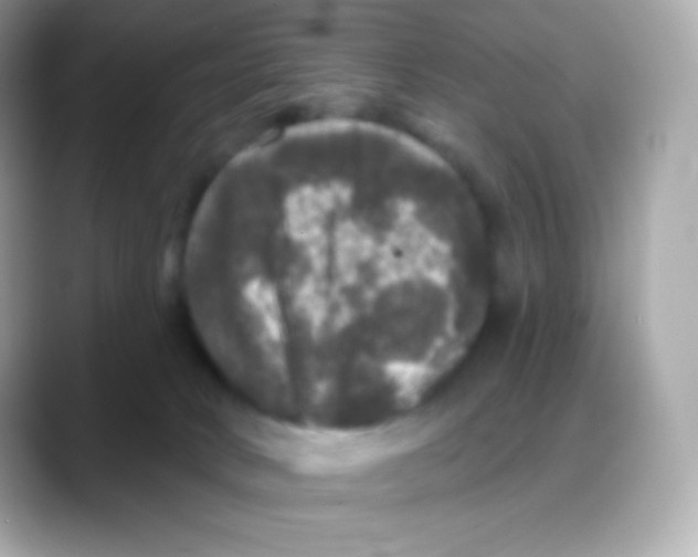 X0000088140034200706042018