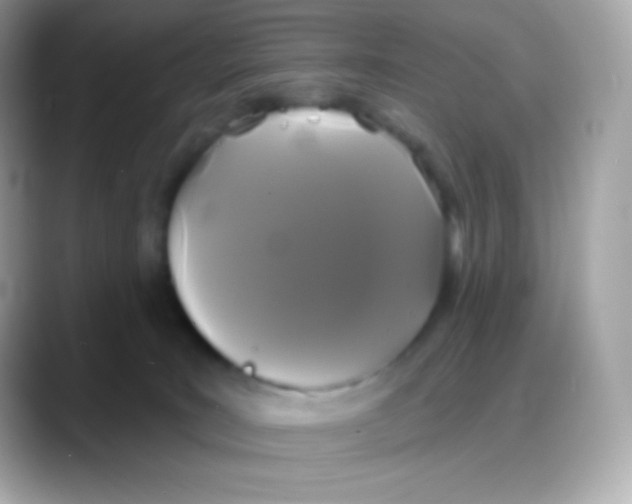 X0000088140035200706042018