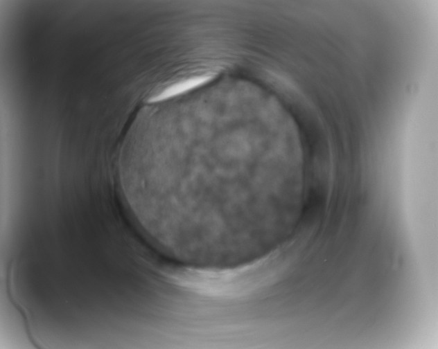 X0000088140037200706042018