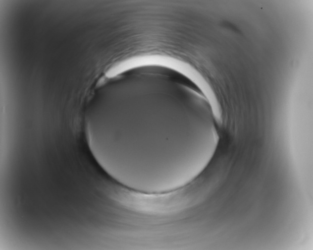 X0000088140039200706042018