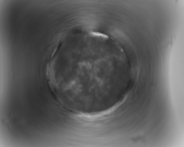 X0000088140041200706042018