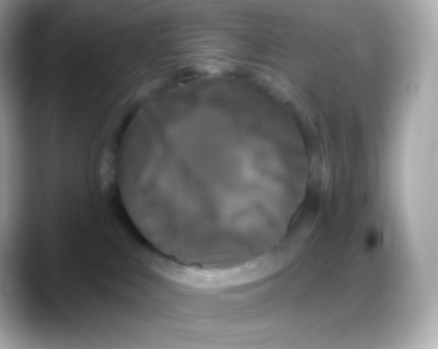 X0000088140043200706042018