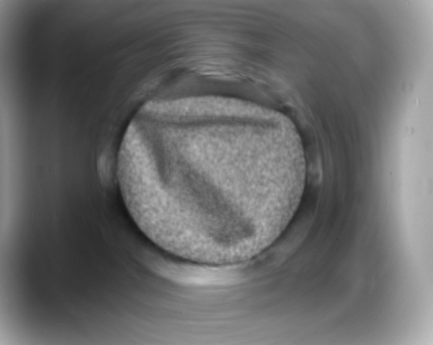 X0000088140044200706042018