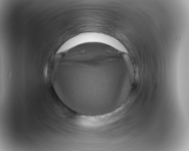 X0000088140045200706042018