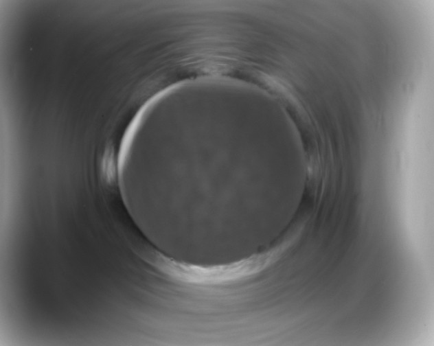 X0000088140046200706042018