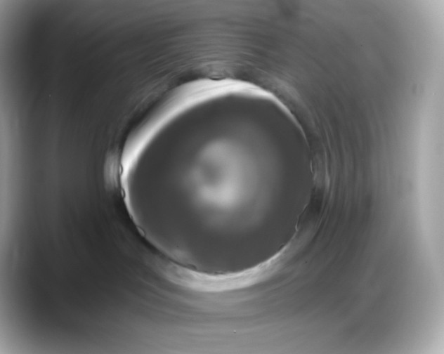 X0000088140047200706042018