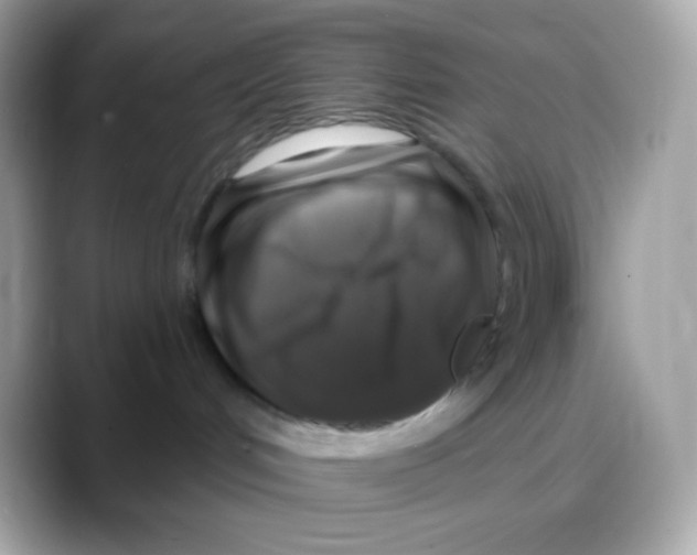 X0000088140048200706042018