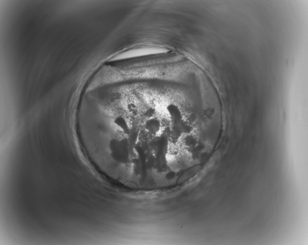 X0000088140049200706042017