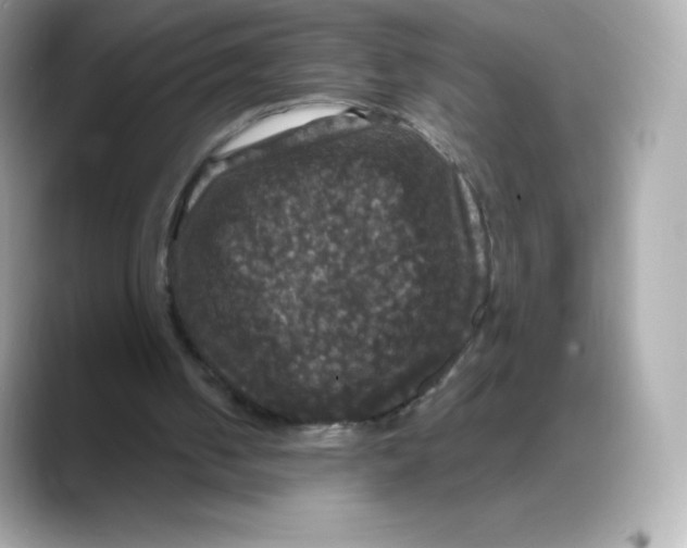 X0000088140050200706042017