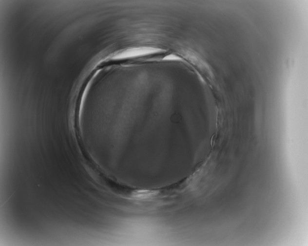 X0000088140051200706042017